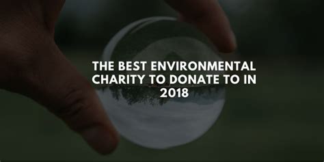 best environmental charities to donate to